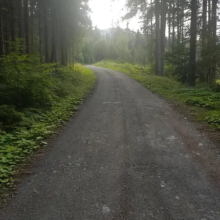 Haus Estelle 펜션 *