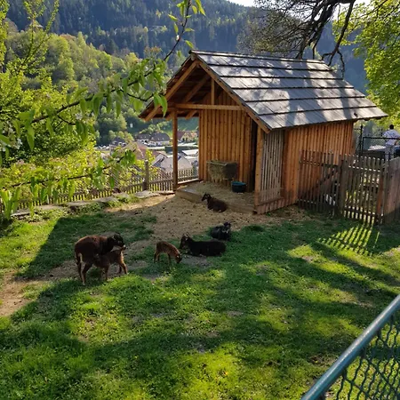 بيت للعطل Haus Estelle