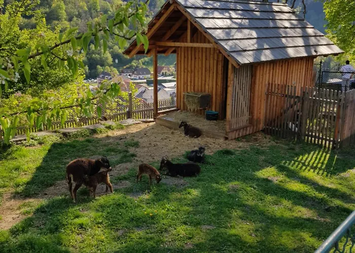 Vakantiehuis Haus Estelle