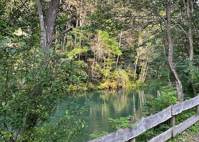 Prázdninový dům Haus Estelle *